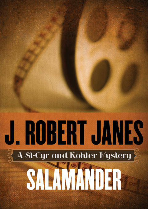 Cover image for book Salamander