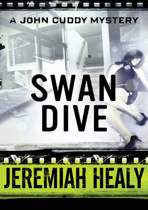 Cover image for book Swan Dive
