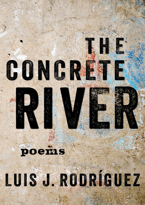 Cover image for book The Concrete River