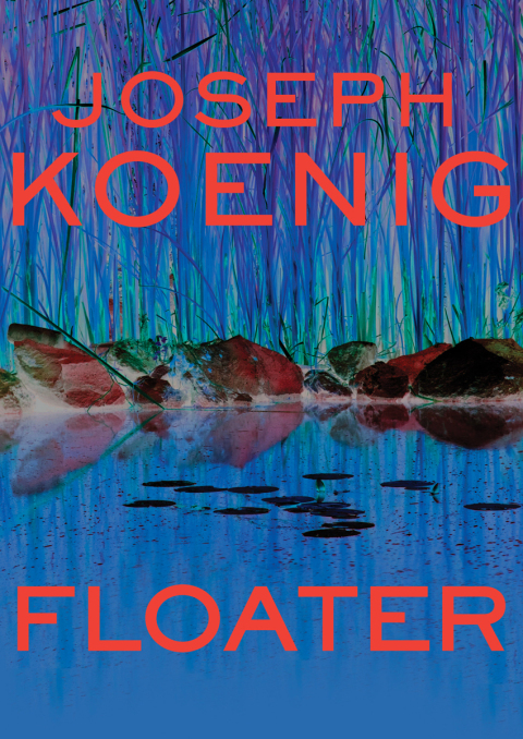 Cover image for book Floater