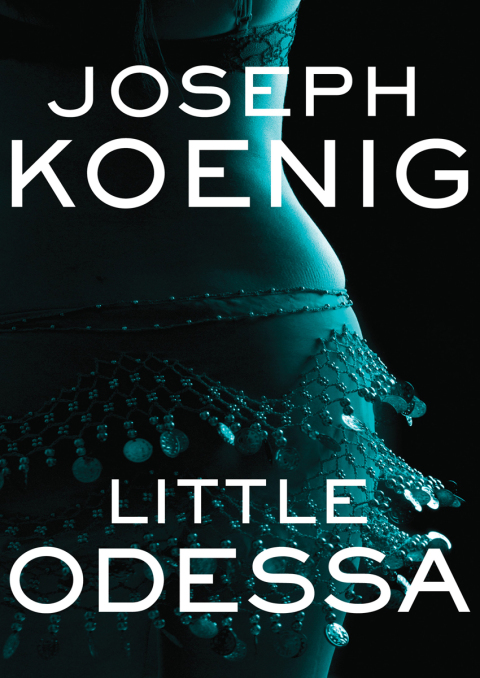 Cover image for book Little Odessa