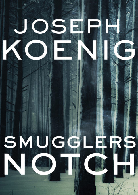 Cover image for book Smugglers Notch