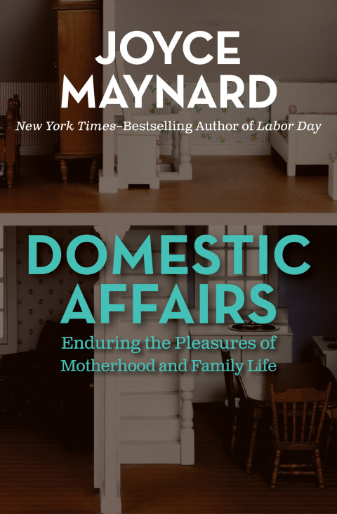 Cover image for book Domestic Affairs