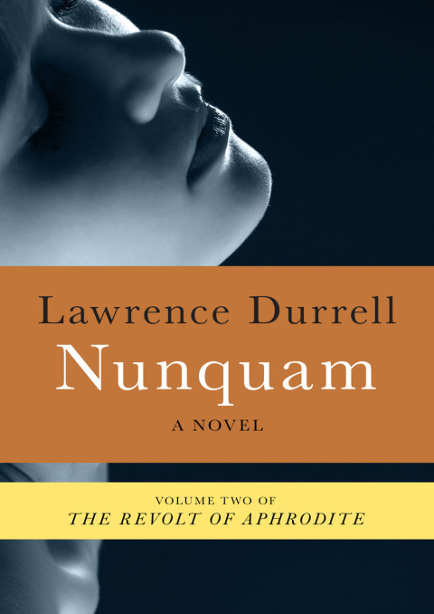 Cover image for book Nunquam