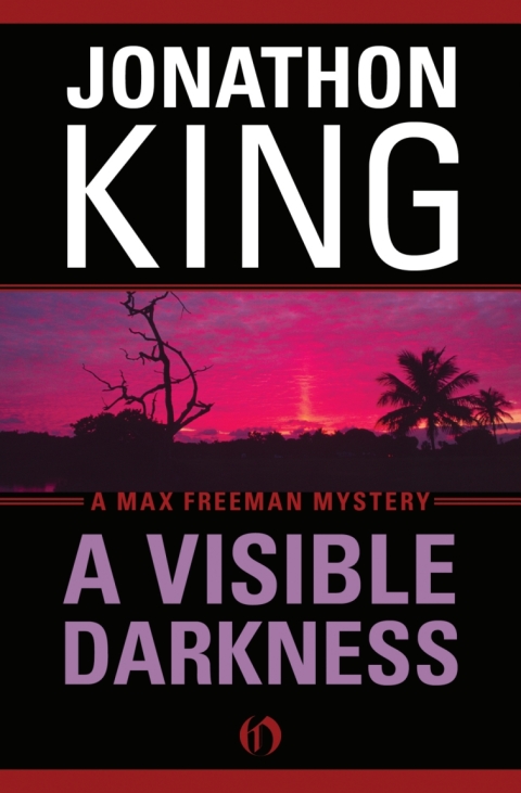 Cover image for book A Visible Darkness