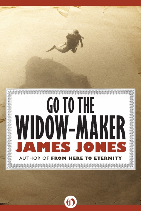 Cover image for book Go to the Widow-Maker