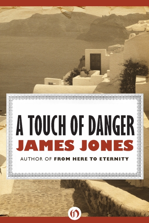 Cover image for book A Touch of Danger