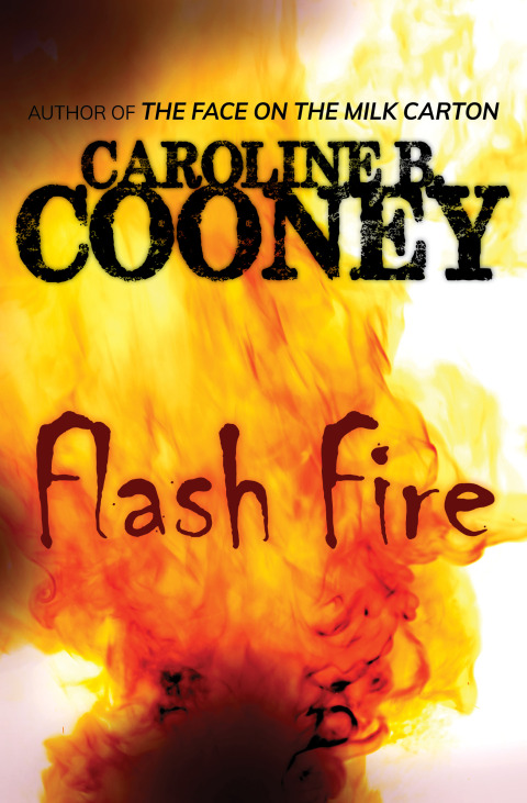 Cover image for book Flash Fire