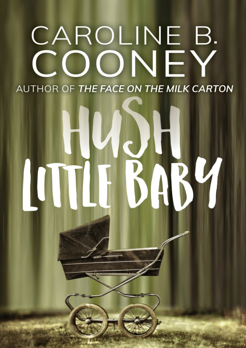 Cover image for book Hush Little Baby