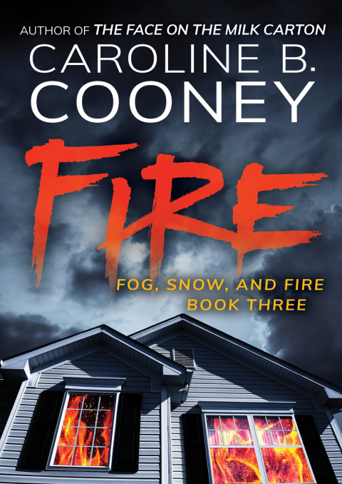 Cover image for book Fire