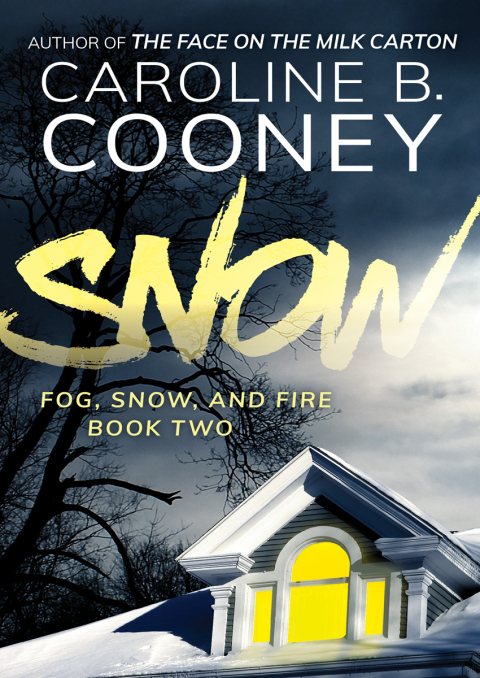 Cover image for book Snow