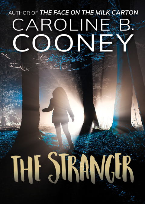 Cover image for book The Stranger
