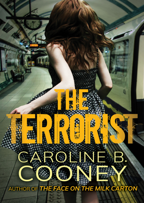 Cover image for book The Terrorist