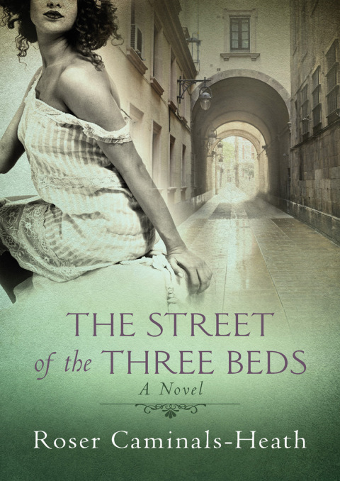 Cover image for book The Street of the Three Beds