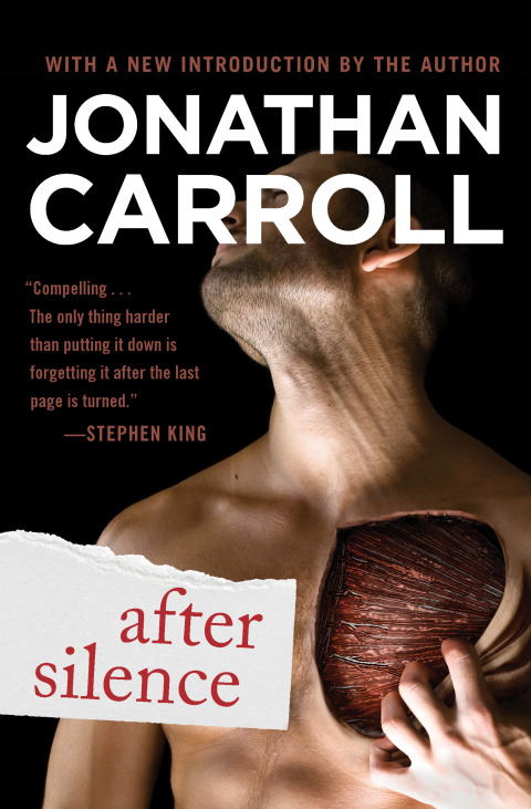Cover image for book After Silence