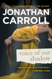 Cover image: Voice of Our Shadow 9781453264959