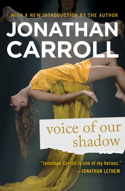 Cover image for book Voice of Our Shadow