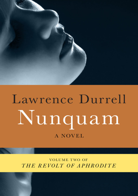 Cover image for book Nunquam