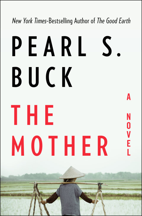 Cover image for book The Mother