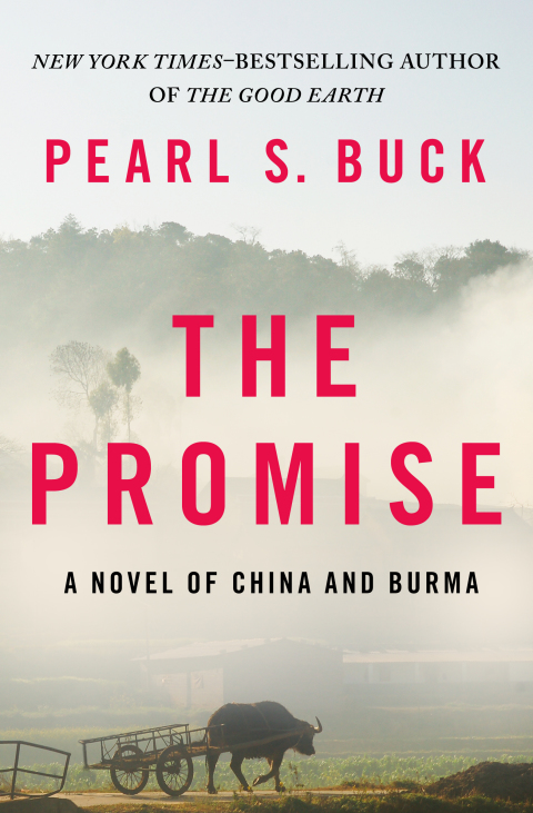 Cover image for book The Promise