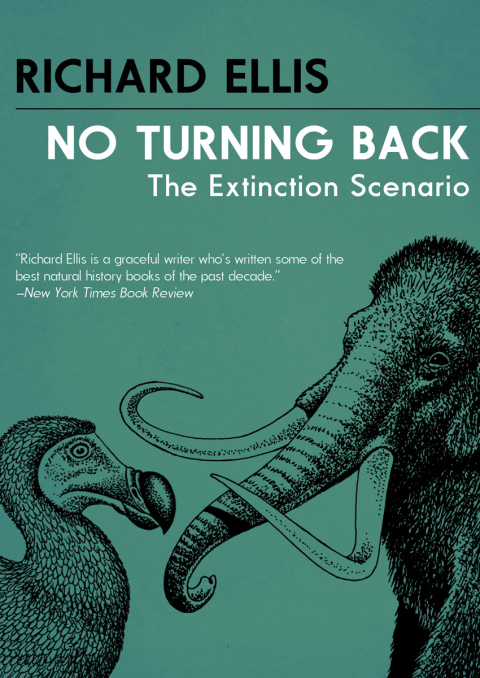 Cover image for book No Turning Back