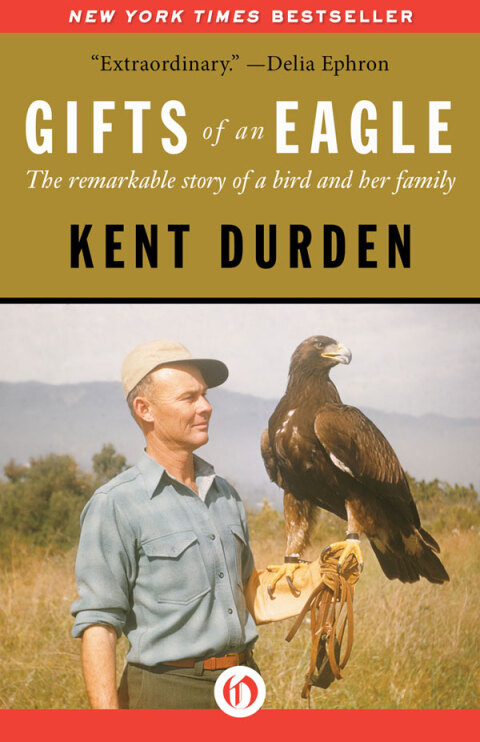 Cover image for book Gifts of an Eagle