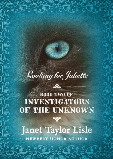 Cover image for book Looking for Juliette