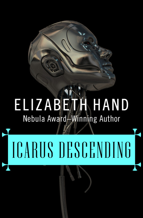 Cover image for book Icarus Descending