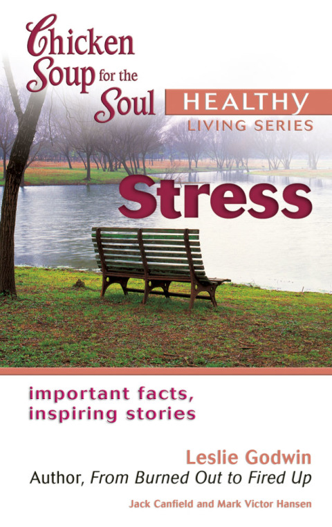 Cover image for book Chicken Soup for the Soul Healthy Living Series: Stress
