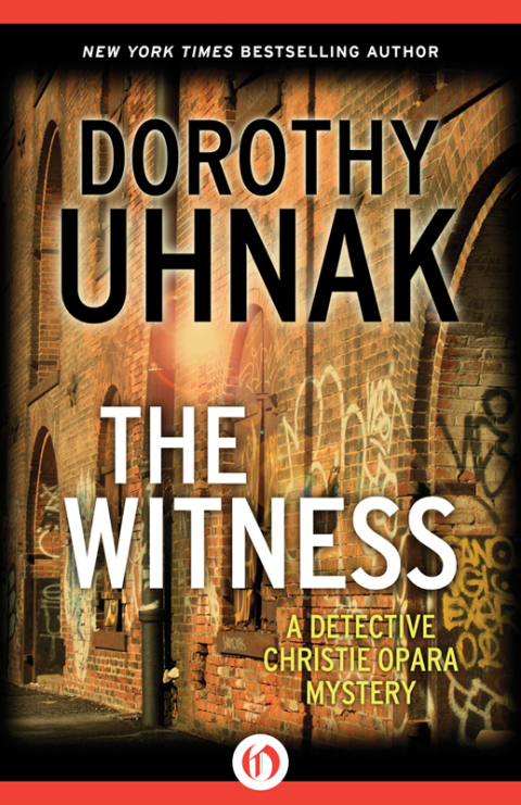 Cover image for book The Witness