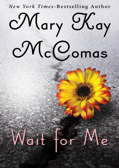 Cover image for book Wait for Me