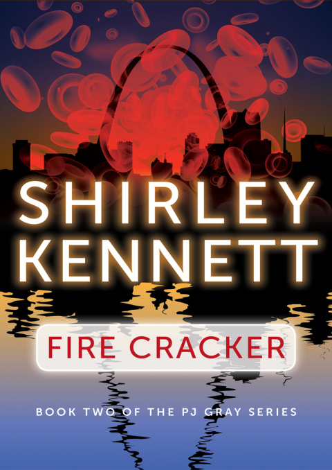 Cover image for book Fire Cracker