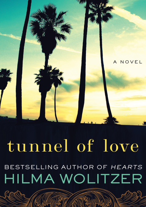 Cover image for book Tunnel of Love