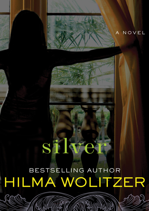Cover image for book Silver