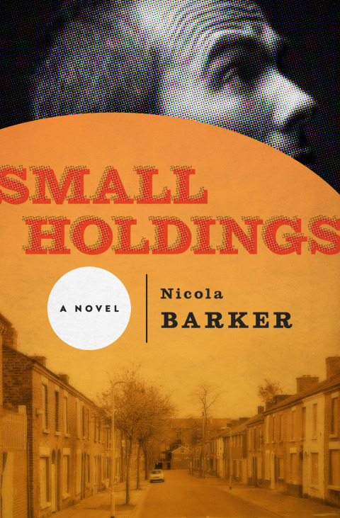 Cover image for book Small Holdings