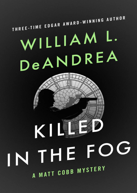 Cover image for book Killed in the Fog