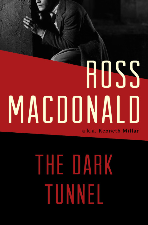 Cover image for book The Dark Tunnel
