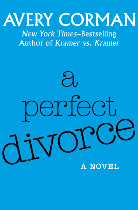 Cover image for book A Perfect Divorce