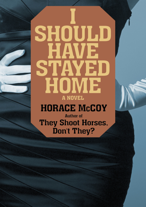 Cover image for book I Should Have Stayed Home