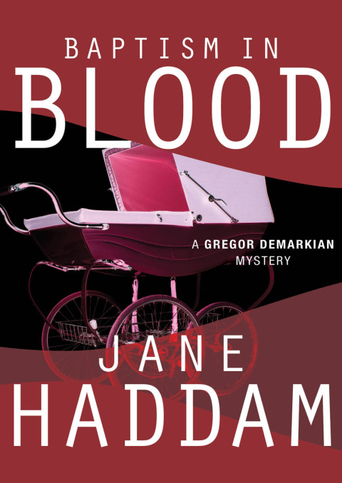 Cover image for book Baptism in Blood