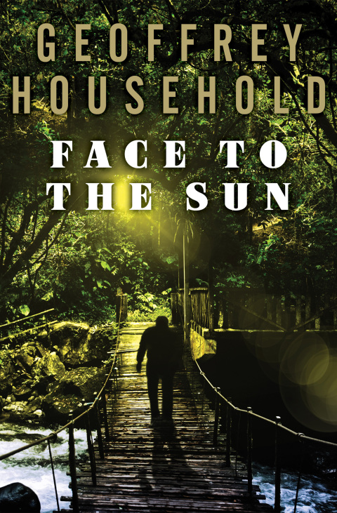 Cover image for book Face to the Sun