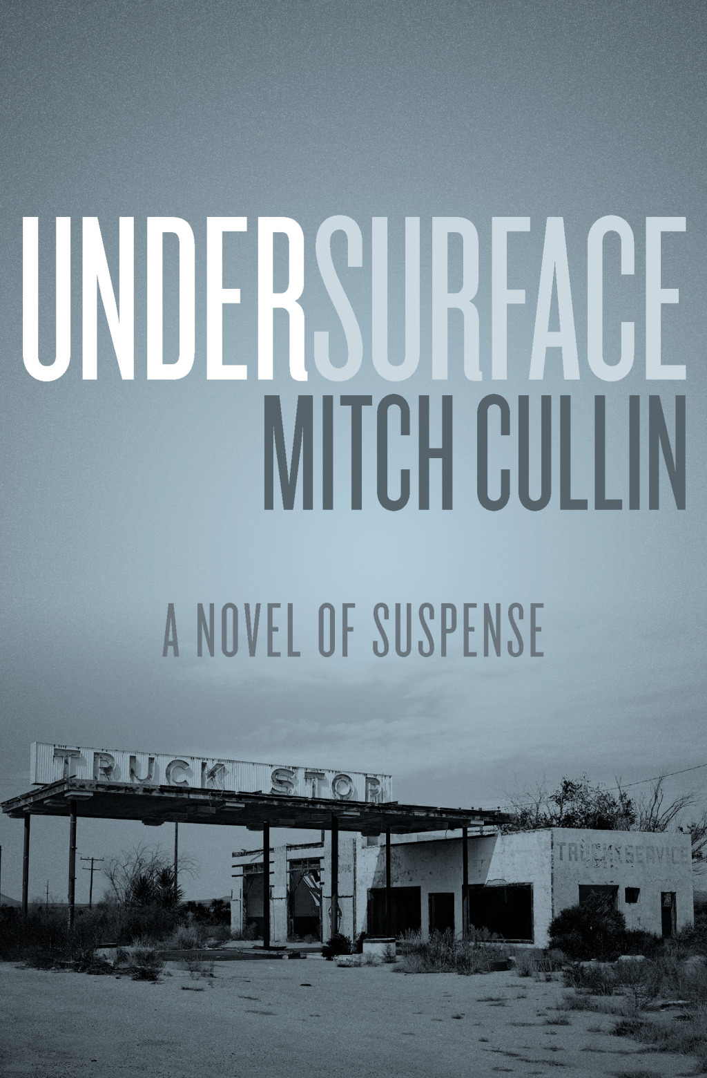 UnderSurface (eBook)