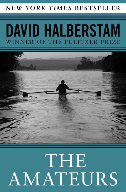 Cover image for book The Amateurs