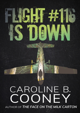 Flight #116 Is Down