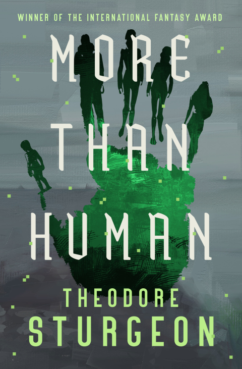 Cover image for book More Than Human