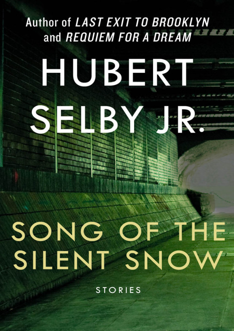 Cover image for book Song of the Silent Snow