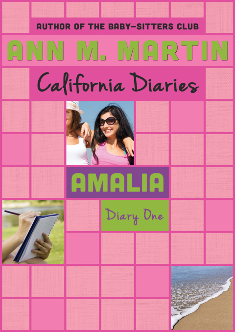 Cover image for book Amalia: Diary One