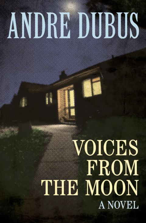 Cover image for book Voices from the Moon