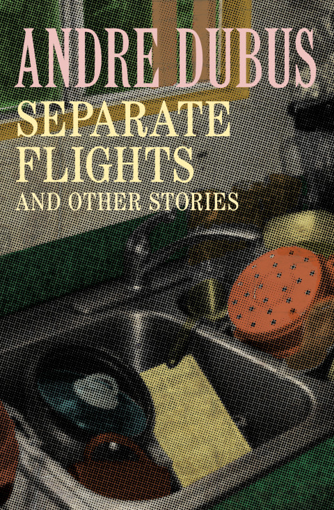 Cover image for book Separate Flights