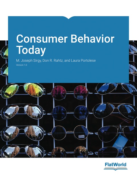 Cover image for book Consumer Behavior Today v1.0
